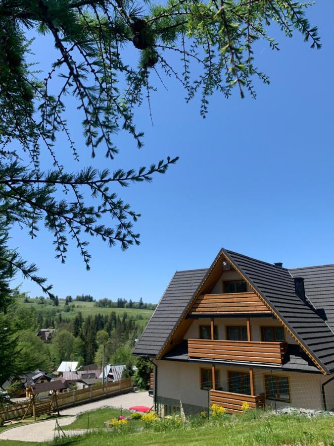 Willa "Na Klinku" Dzianisz Exterior foto