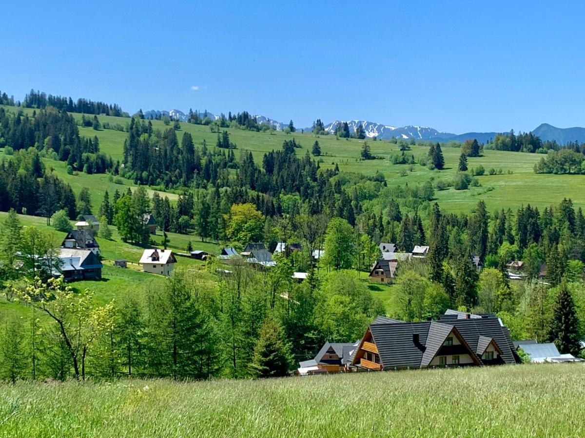 Willa "Na Klinku" Dzianisz Exterior foto